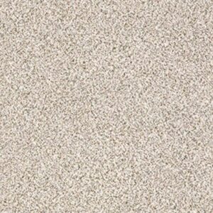 DELICATE DISTINCTION CLASSIC III by Shaw Floors - Heath