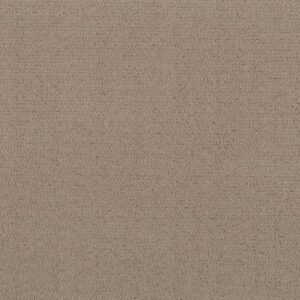 INTRICATE TRACE by Shaw Floors - Cameo