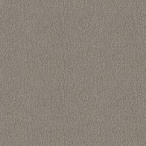 LATTICE by Shaw Floors - Mineral