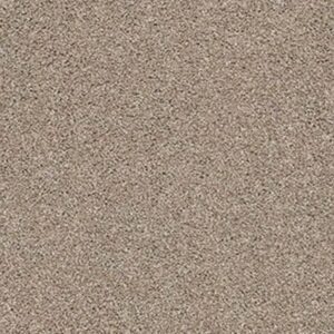 ALWAYS MINE by Shaw Floors - Caribou