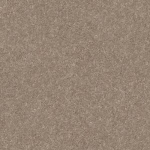SMOOTH TALK I by Shaw Floors - Buffington