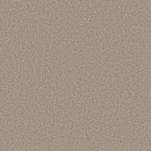 ARTISTIC FUSION II by Shaw Floors - Soft Sense