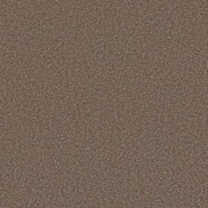 ARTISTIC FUSION II by Shaw Floors - Orange Oxide