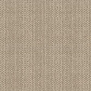 SOUTH EASTON by Shaw Floors - Pale Beach