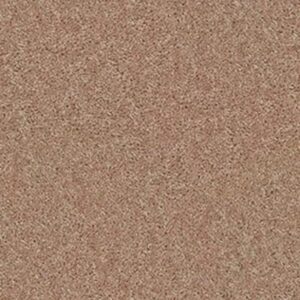 BRICEVILLE CLASSIC 12 by Shaw Floors - Eagles Nest