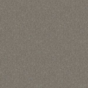 CABANA LIFE (B) by Shaw Floors - Sierra Mist