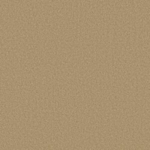 TONAL COMFORT II by Shaw Floors - Hello Sunshine