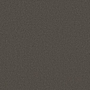 TONAL COMFORT II by Shaw Floors - Weekend Getaway