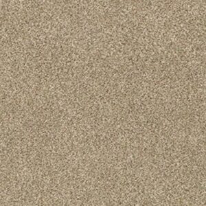 TONAL COMFORT BLUE by Shaw Floors - Honey Tea