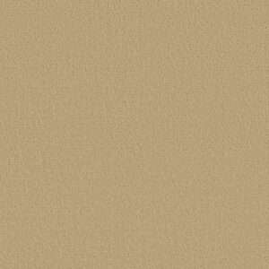 CANVAS COMFORT by Shaw Floors - Hello Sunshine