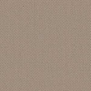 PERSPECTIVE PATH by Shaw Floors - Worn Path