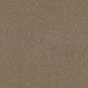 EXCEPTIONAL II by Dreamweaver - Sawgrass 701