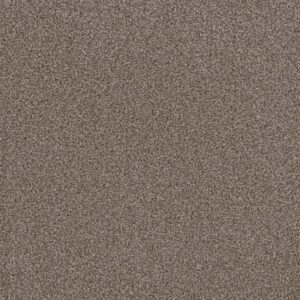 FIRST STEP by Dreamweaver - Silvery 829
