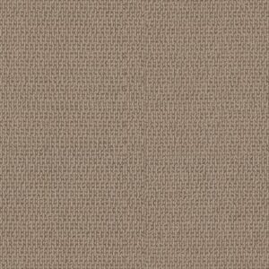 CRAFTED EMBRACE by Shaw Floors - Beige Bisque