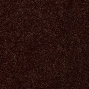 BRICEVILLE CLASSIC 15 by Shaw Floors - Coffee