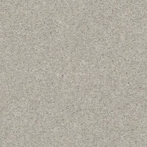 CABANA LIFE SOLID by Shaw Floors - Weathered