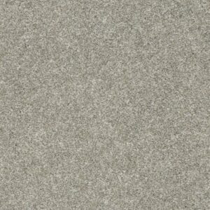 ALL OVER IT I by Shaw Floors - London Fog