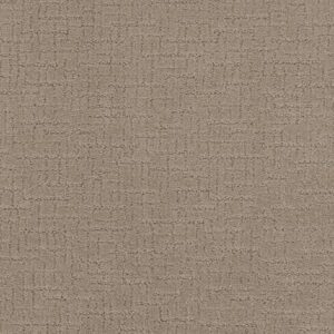 ONE MORE HOUR by Shaw Floors - Birchwood