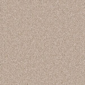 EAST HAMPTON by Dreamweaver - Sawgrass 701