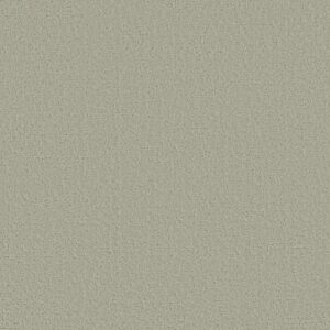 CANVAS COMFORT by Shaw Floors - Willow Tree