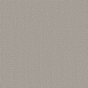 PERSPECTIVE PATH by Shaw Floors - Quest