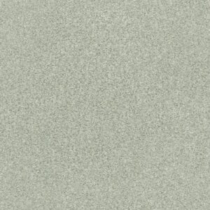 TONAL COMFORT II by Shaw Floors - Willow Tree