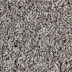 Simply Grey I by Mohawk - Starry Taupe
