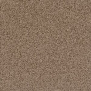 FIRST STEP by Dreamweaver - Sable 510