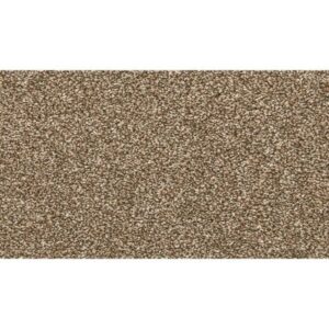 Dynamic Quality II by Mohawk - Spice Cake