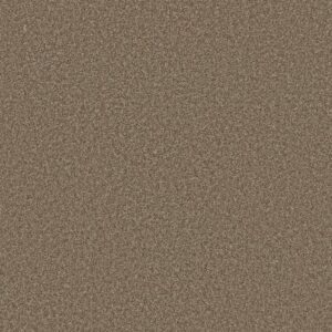 AFFIRMATION II by Shaw Floors - Spanish Brown