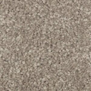 Elegant Appeal I by Mohawk - Tomorrow'S Taupe