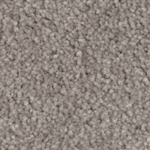 Elegant Appeal I by Mohawk - London Fog
