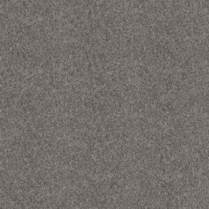 GRAND OUTLOOK by Shaw Floors - Aircraft