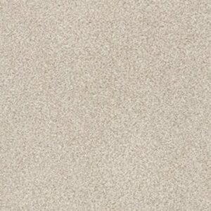 TONAL COMFORT BLUE by Shaw Floors - Sand Castle