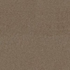 EXCEPTIONAL II by Dreamweaver - Doeskin 530