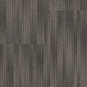 ILLUMINATE by Philadelphia Commercial - Starry