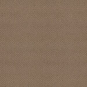 DEL VISTA by Shaw Floors - Sierra Hills