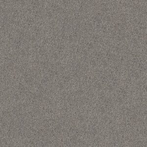 TRUSPIRIT I by Shaw Floors - Stainless