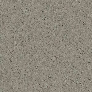 NEWBERN CLASSIC 12' by Shaw Floors - Pebble Path
