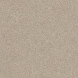 THAT'S RIGHT by Shaw Floors - Scone