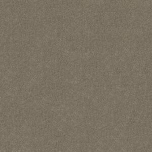 INSPIRED BY III by Shaw Floors - Rocky Coast