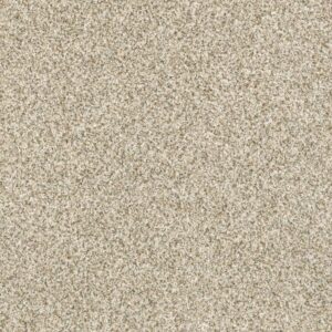 DEVON CLASSIC I by Shaw Floors - Celtic