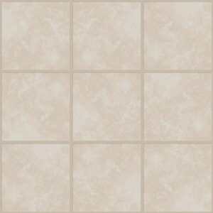 Resolve 6x6 by Shaw Floors - Intrinsic