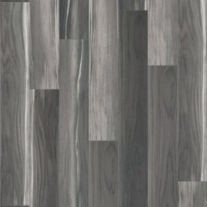 Adventure HD+ Accent by Shaw Floors - Shadow