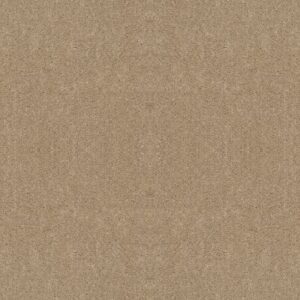 POINT GUARD 12' by Shaw Floors - Flax Seed