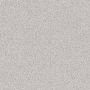 JUST A HINT II by Shaw Floors - Nickel