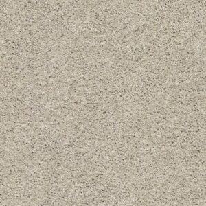 ALWAYS MINE by Shaw Floors - Shale