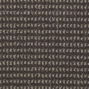 MODERN TRADITIONS by Philadelphia Commercial - Bark