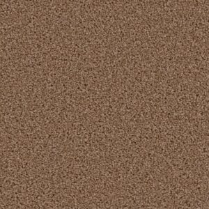 EXCEPTIONAL by Dreamweaver - Balsam 565