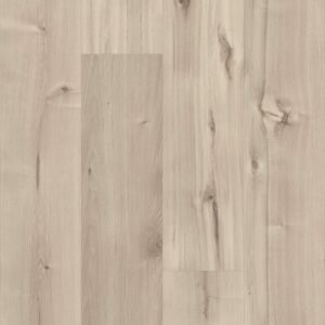 Symbiotic 30 by Shaw Floors - Canvas